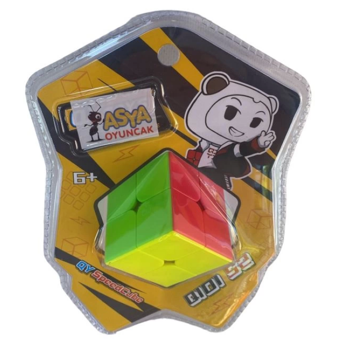 00195 VAKUMDA 2 Lİ ZEKA KÜPÜ