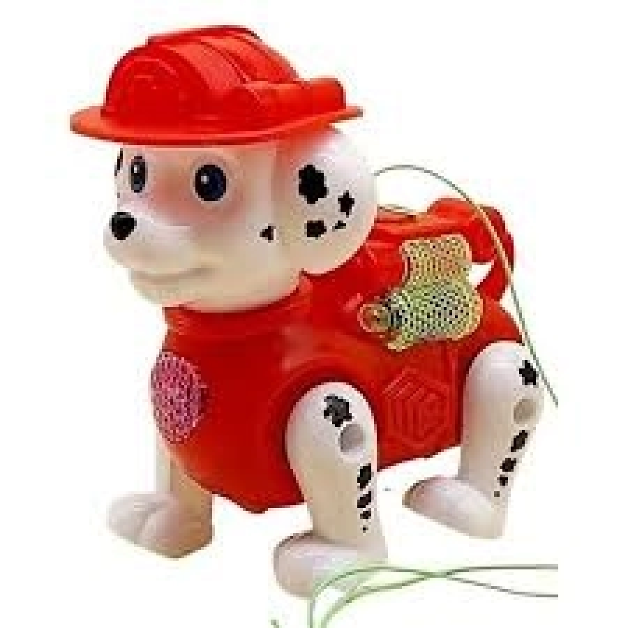 020-2 POŞETTE PİLLİ KÖPEK