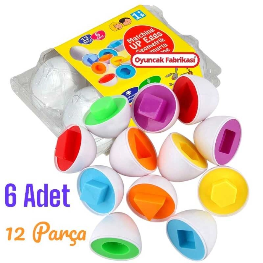 ERN-803 VAK.6'LI YUMURTA EŞLEŞTİRME